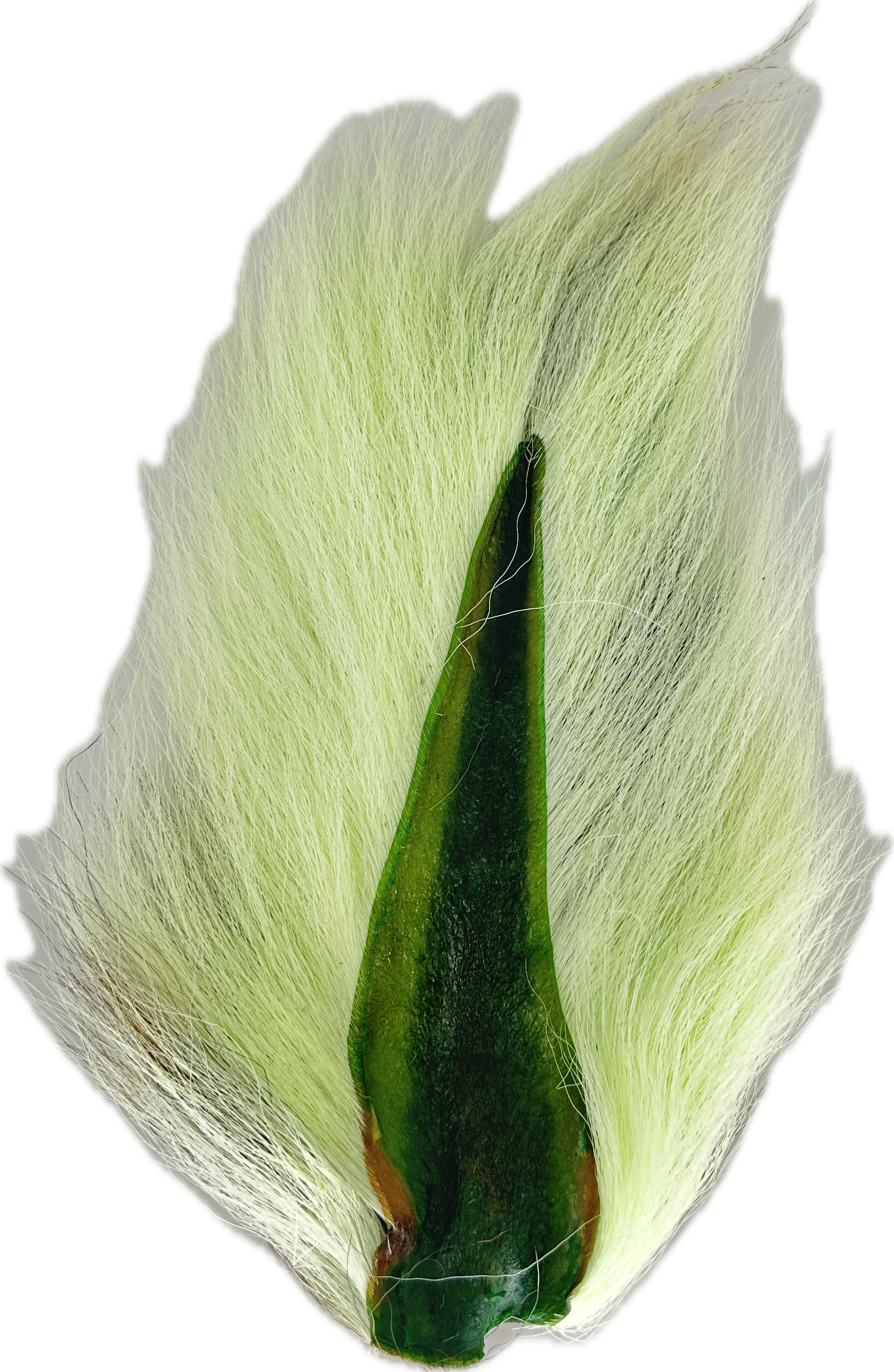 Appalachian Bucktail - AA