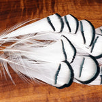 Lady Amherst Tippets
