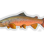 Casey Underwood Art Decals