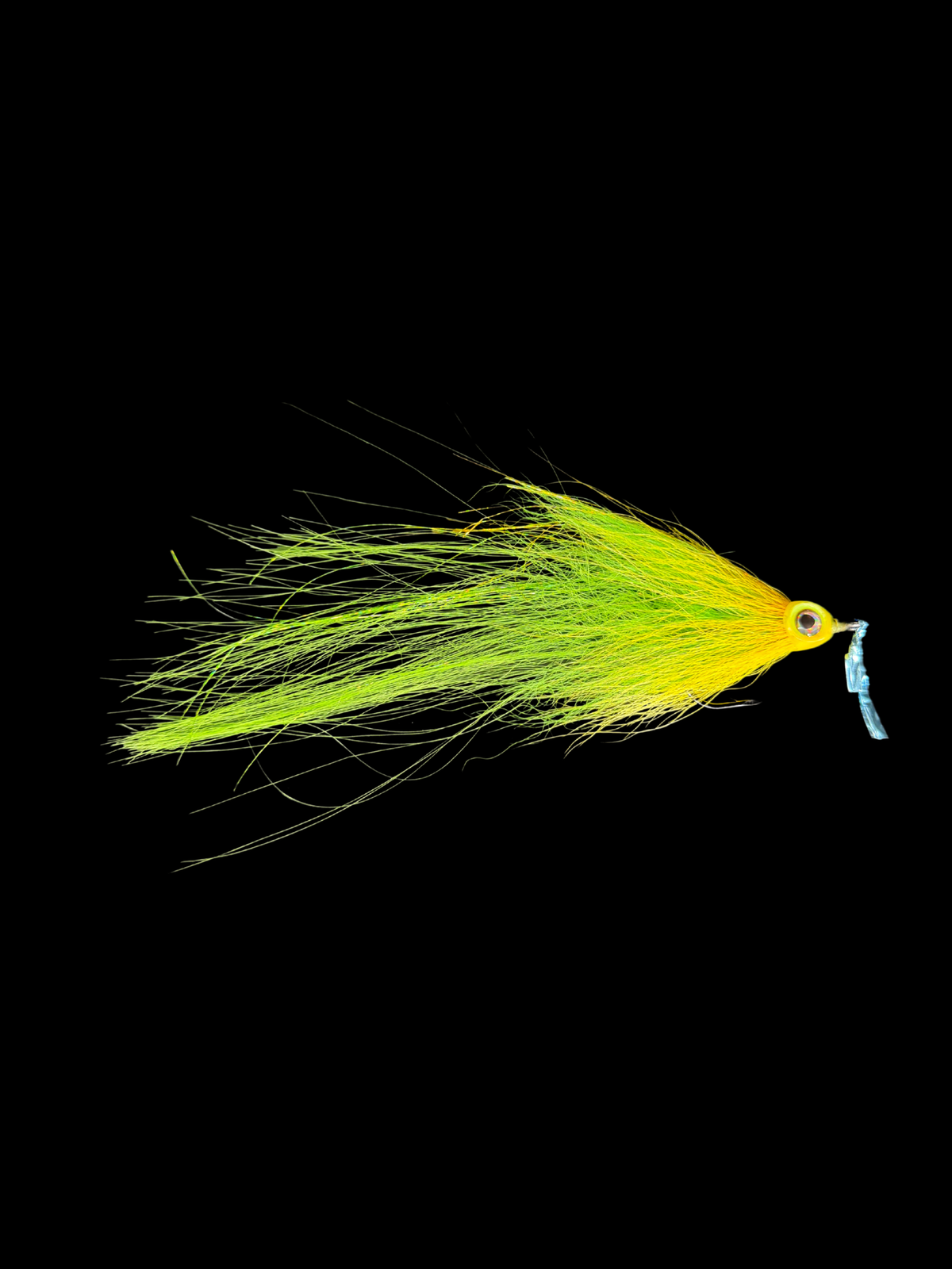Natives Flies