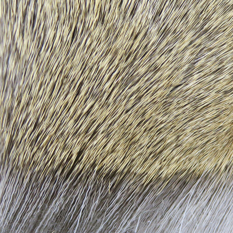 Hair