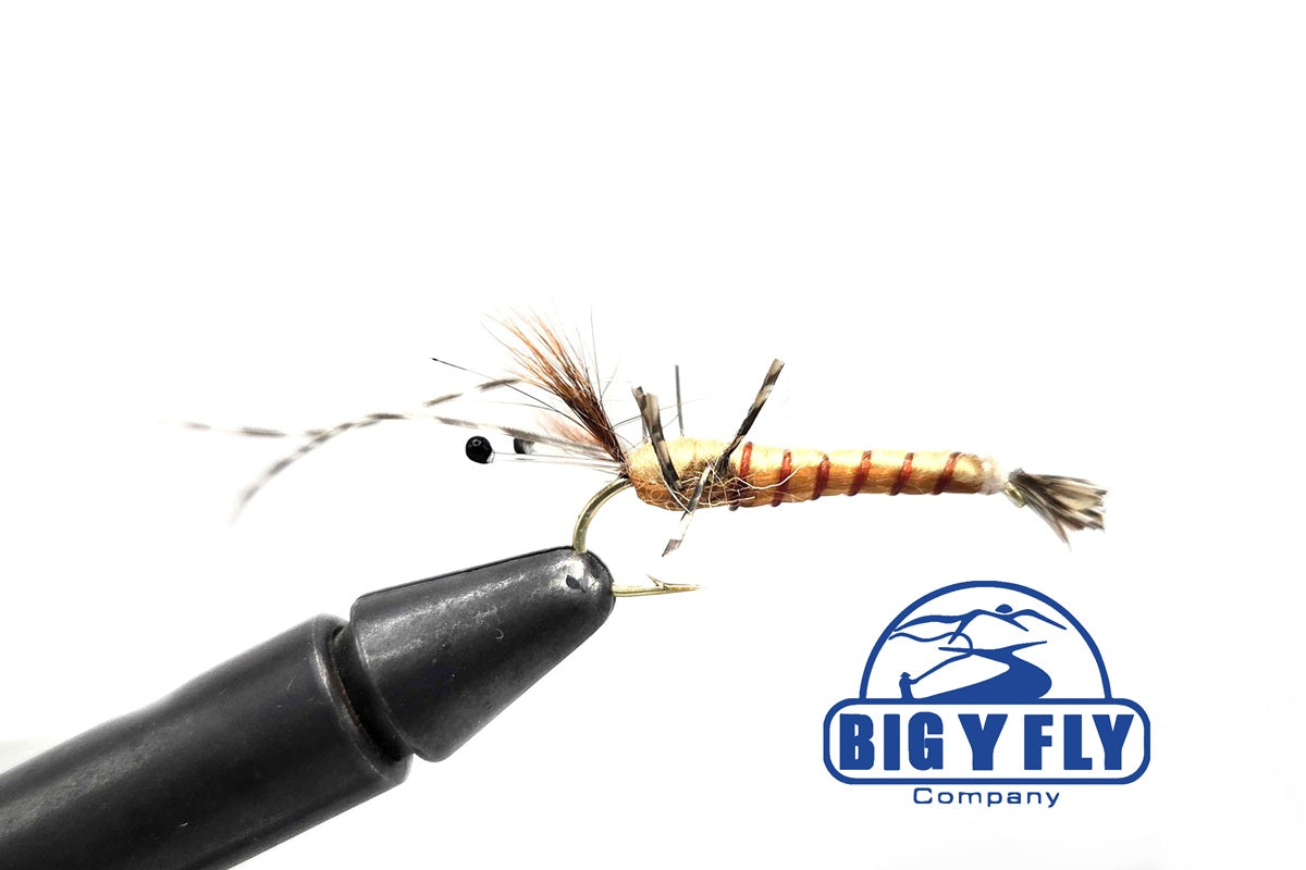 Crayfish