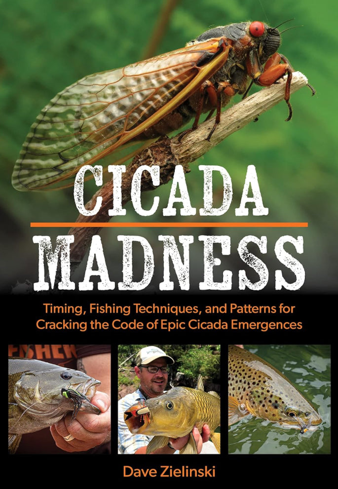 Cicada Madness By Dave Zielindki Book