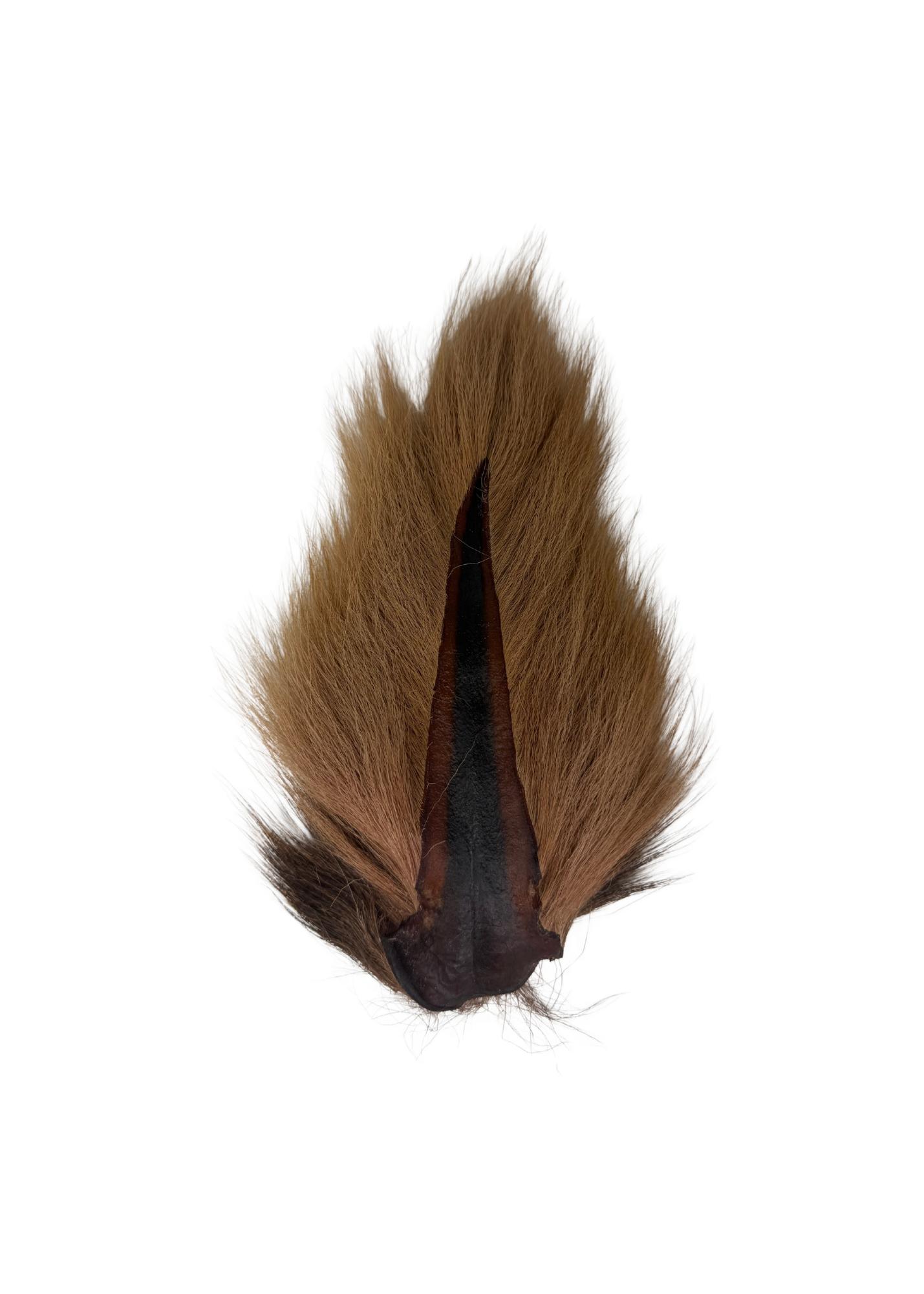 Appalachian Bucktail - AA