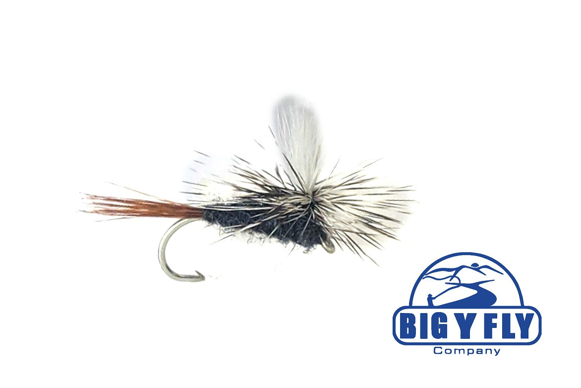 Parachute Callibaetis