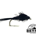 Early Black Stonefly
