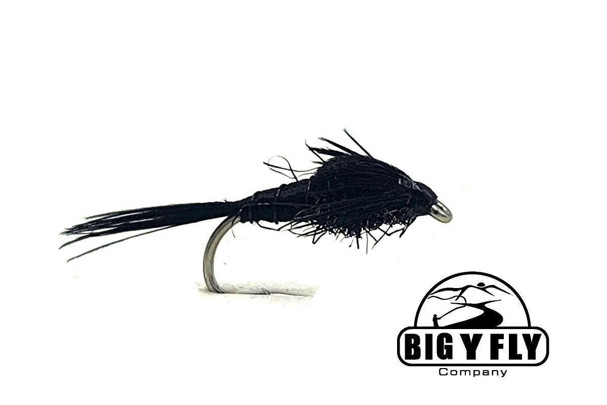 Early Black Stonefly