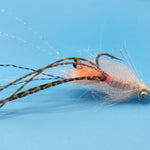 Spawning Shrimp - Shallow