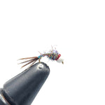 Rainbow Warrior - Tungsten