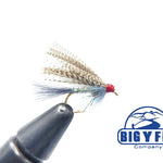 Rainbow Warrior Wet Fly