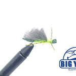 Adult Stillwater Caddis - Dry Fly