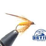 October Caddis Pupa