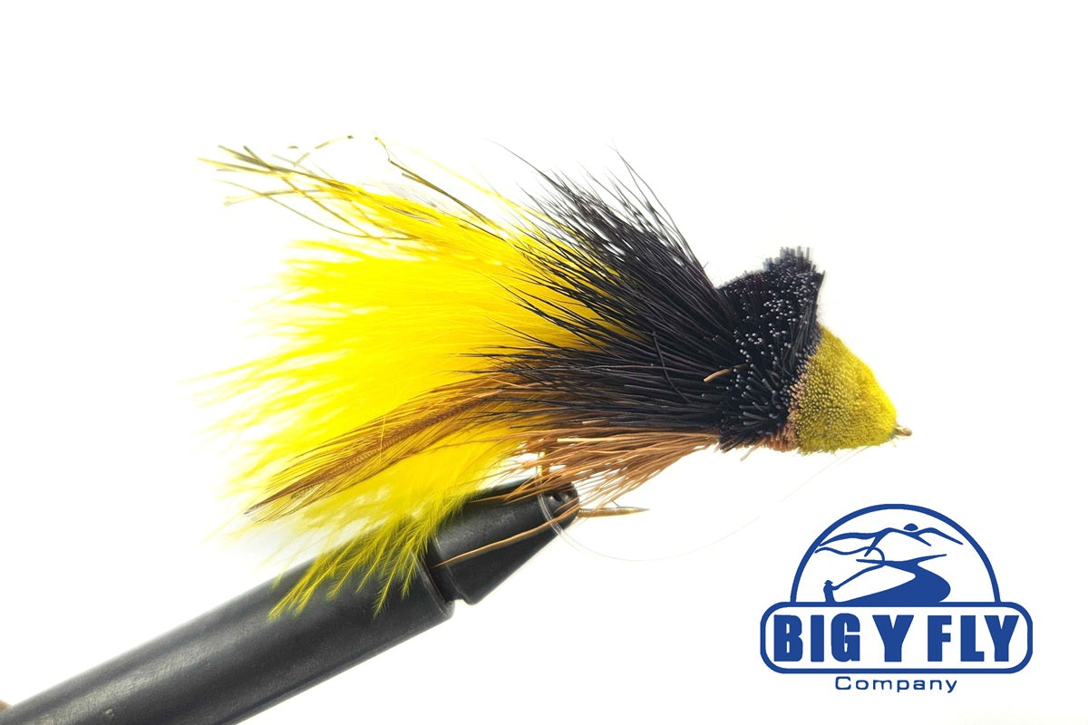 Dahlberg Diver