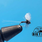 Baetis Zinger