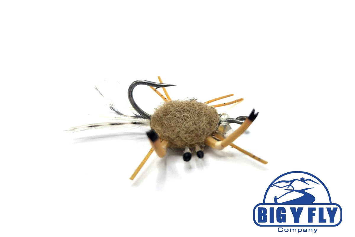 Maturda Crab