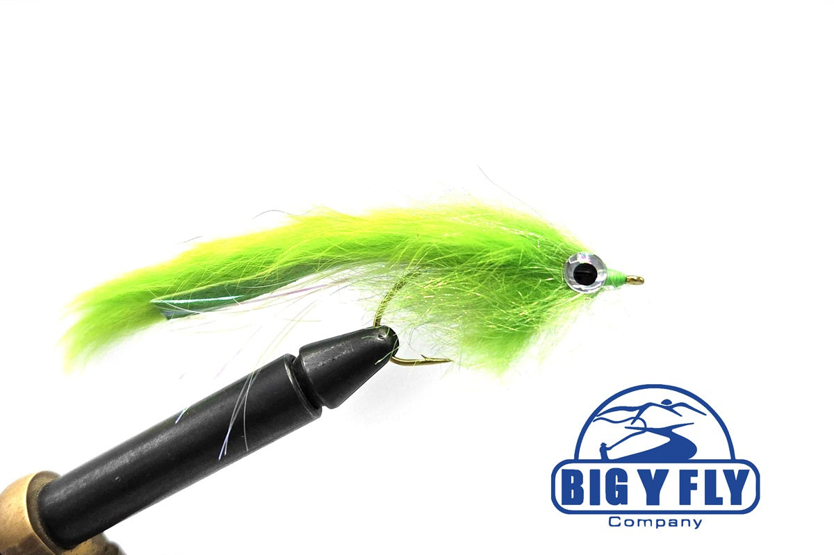 Big Eye Streamer