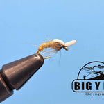 Foamback Emerger March Brown