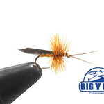 Cinnamon Sedge