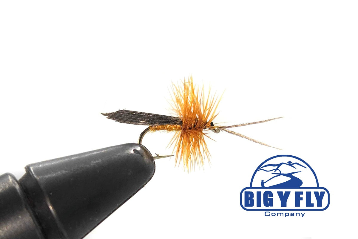 Cinnamon Sedge