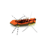 Snake River Chernobyl Ant