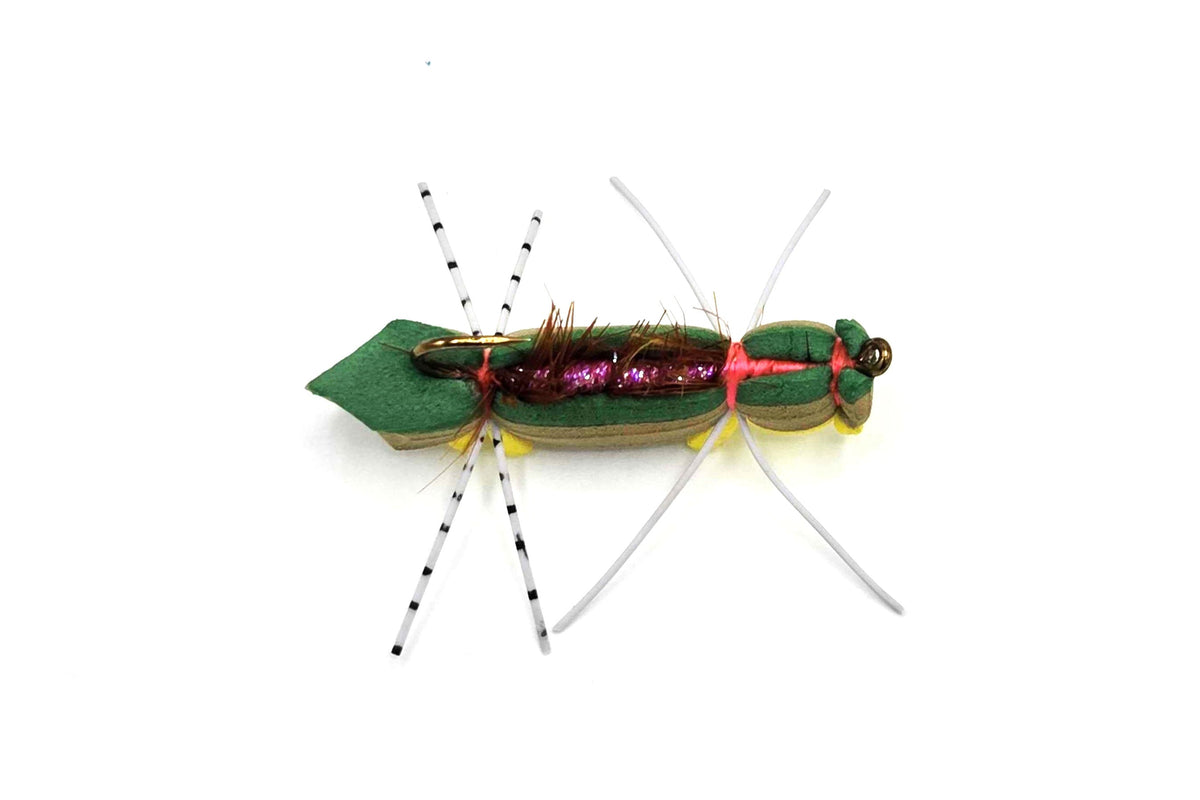 Snake River Chernobyl Ant