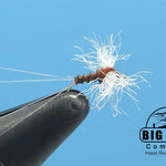 Spinner Rusty Biot