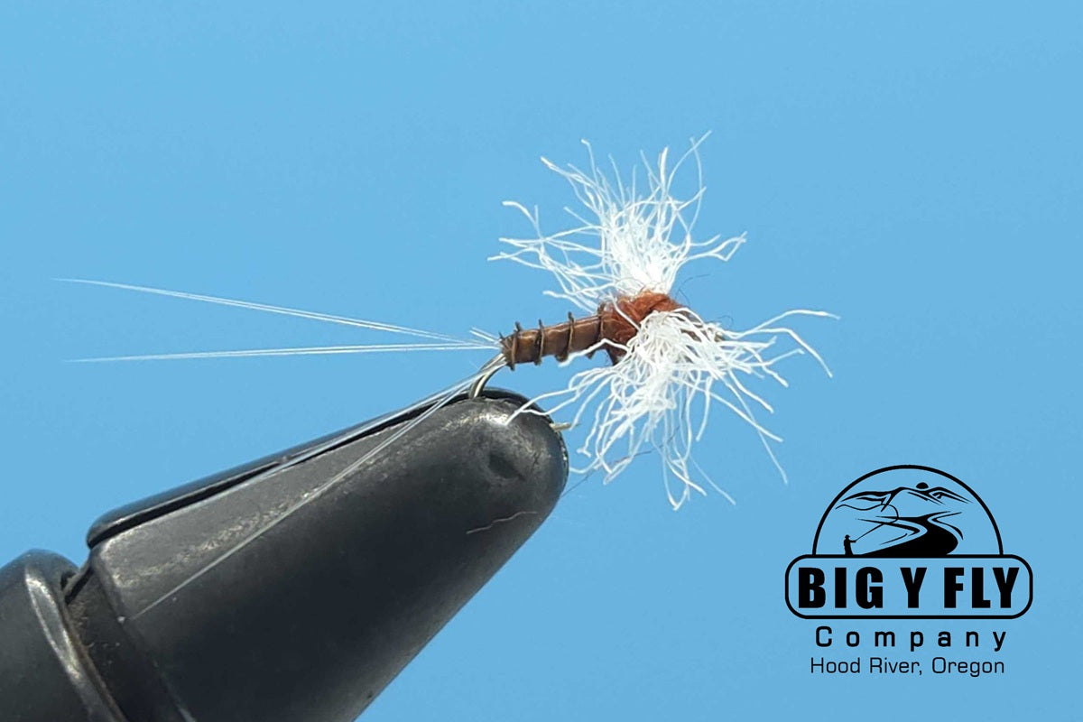 Spinner Rusty Biot
