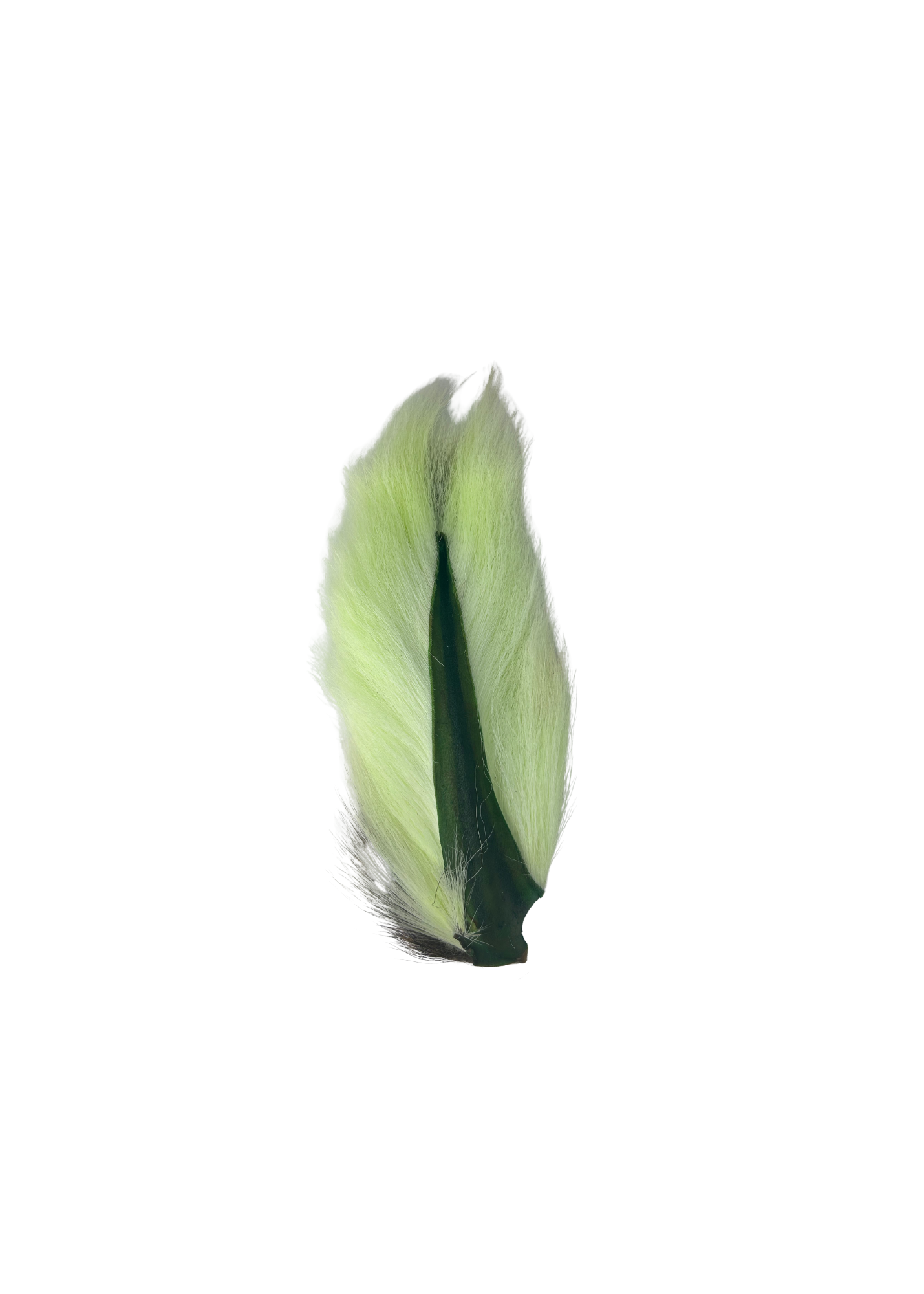 Appalachian Bucktail - AA