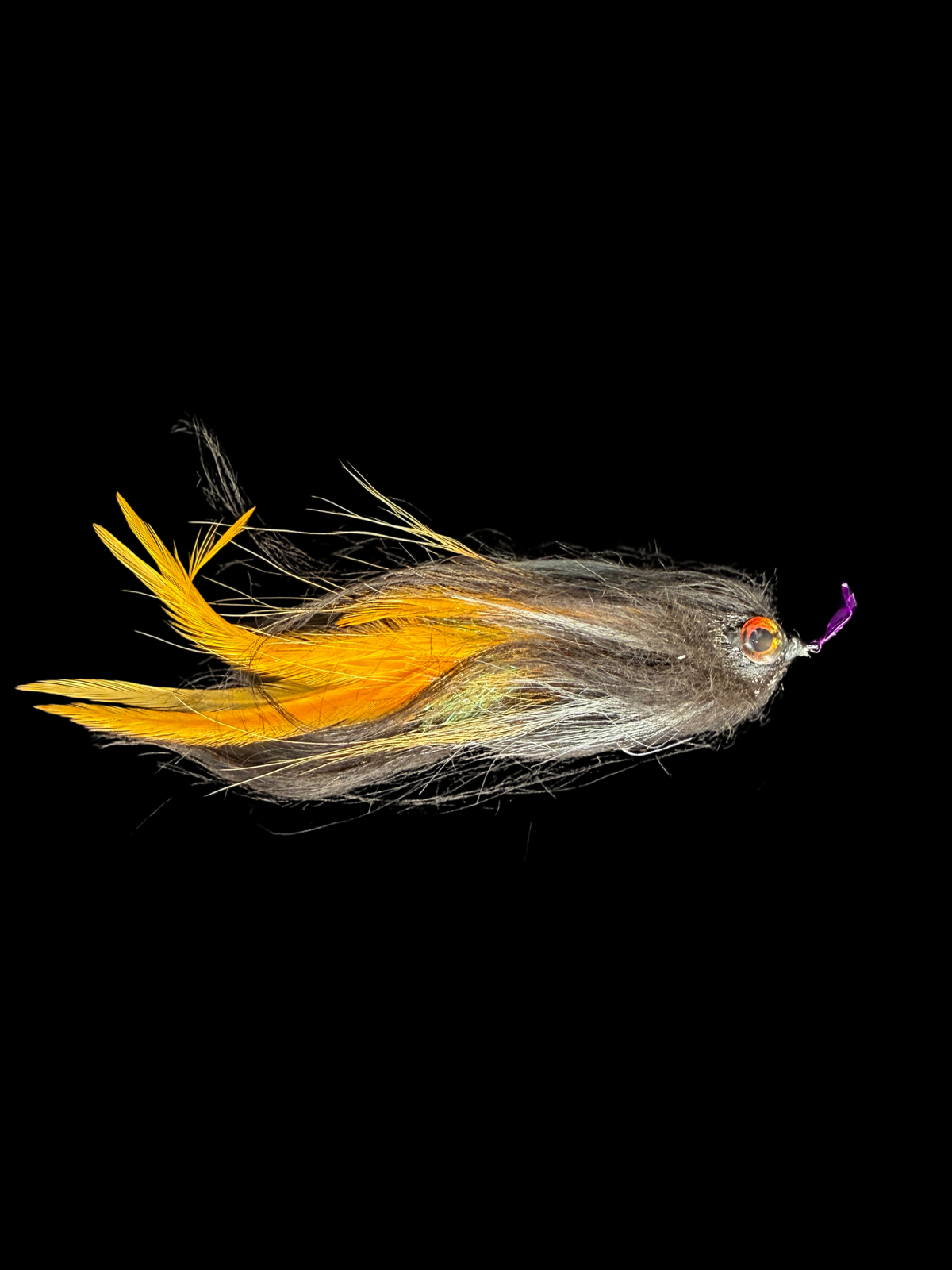 Yard Sale – Double-Jointed Rattle Fly