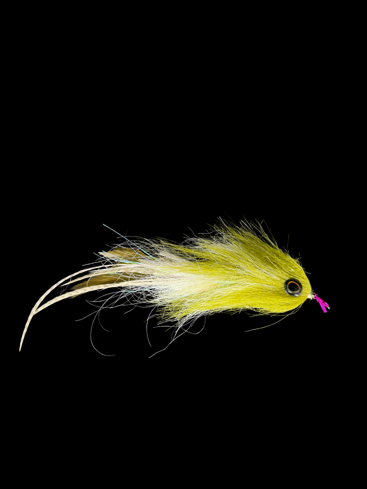 Yard Sale – Double-Jointed Rattle Fly