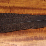 Cinnamon Tip Turkey Tail Feathers