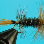 AZ Peacock Lady