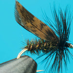 Alder Dry Fly