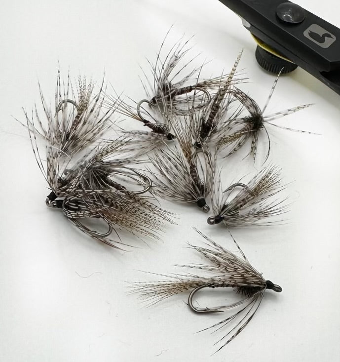 Hatching Pupa Natural