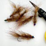 Olive Leech Simi seal