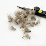 Egg Laying Caddis
