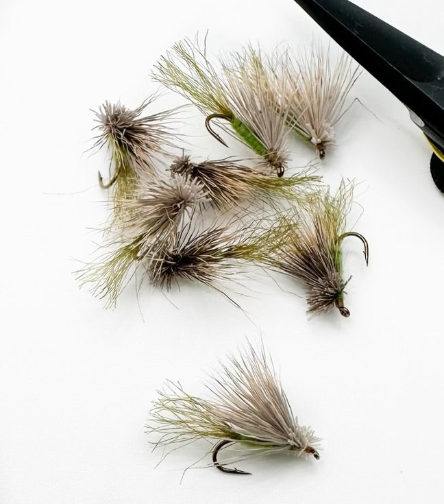 X-Caddis Olive