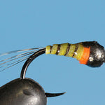 Blackhead - Tungsten (Barbless)