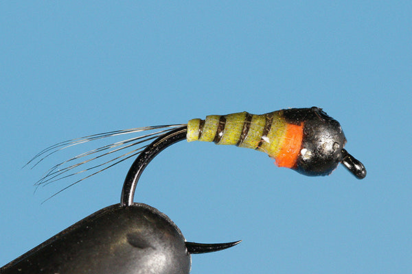 Blackhead - Tungsten (Barbless)