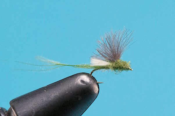 Blue Wing Olive Extended Body  - Mayfly Dry Fly