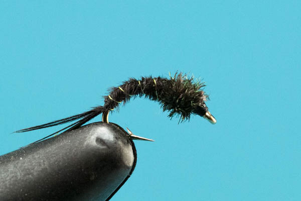 Black Caddis Pupa