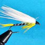 Black Ghost Marabou