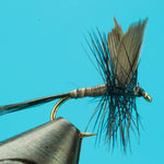 Black Quill