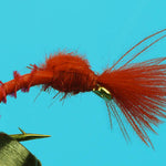 Blood Midge CDC