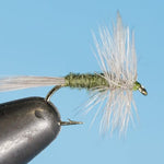 Blue Wing Olive