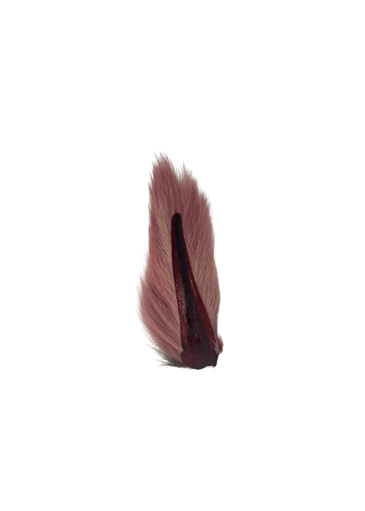Appalachian Bucktail - AA