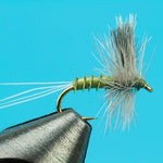 CDC Biot BWO Thorax