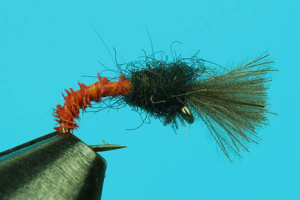 CDC Midge Pupa