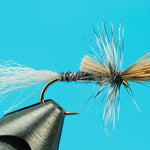 Callibaetis Cripple