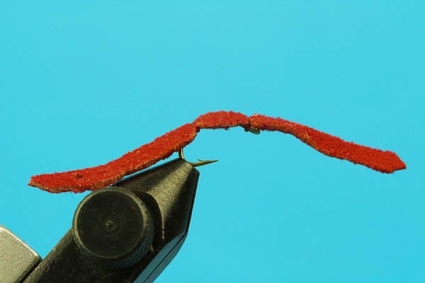 Chamois "Shammy" Worm
